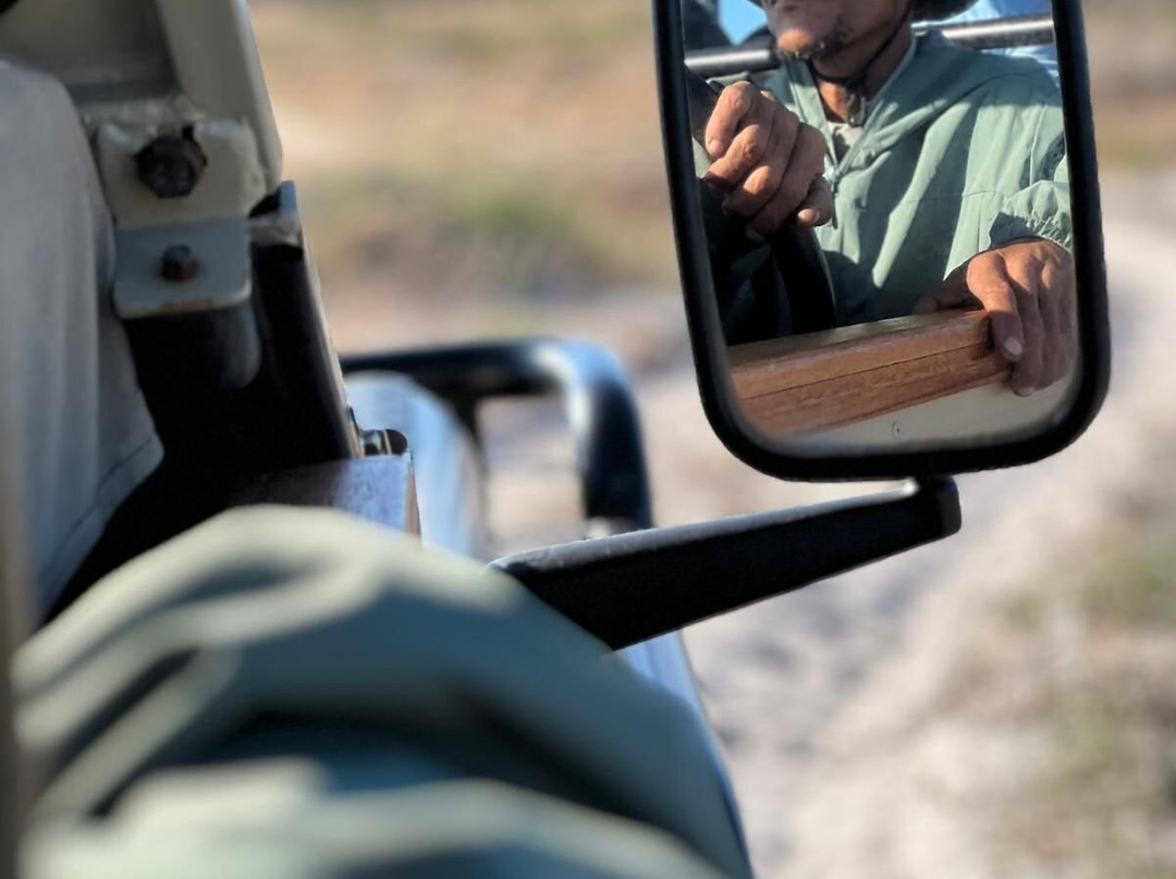 West Coast Private Game Reserve-Yzerfontein必去景点