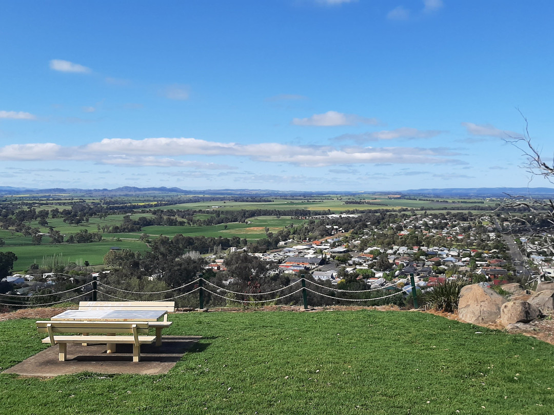 Bellevue Hill Reserve and Lookout景点图片