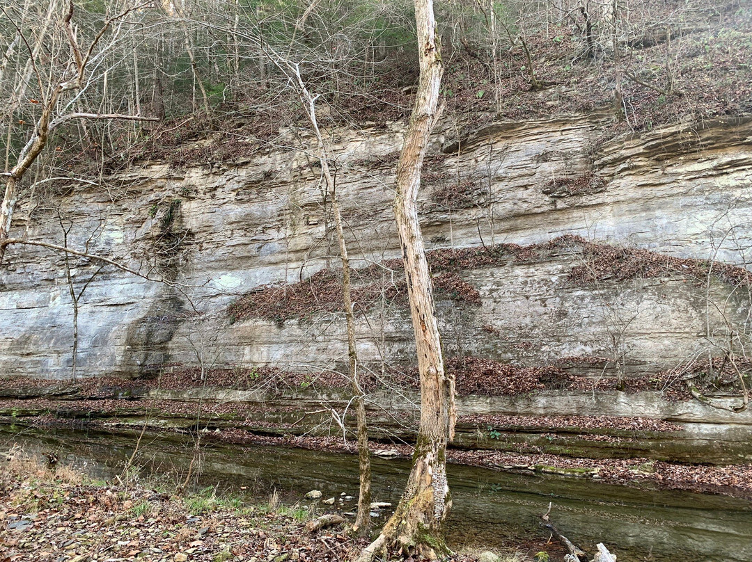 Window Cliffs State Natural Area-Baxter必去景点
