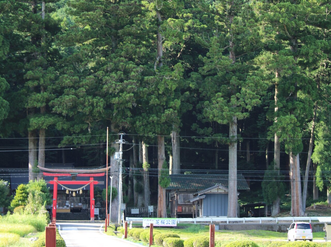 Togakushi Shrine-郡上市必去景点