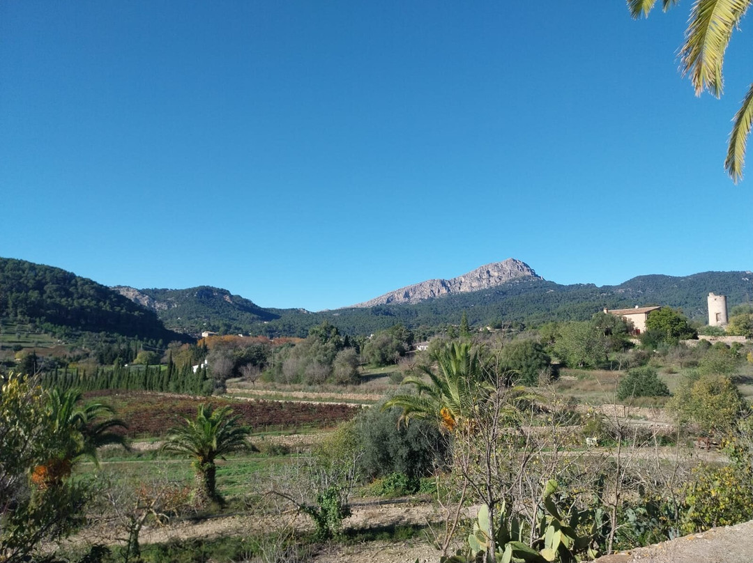 Bodega Son Puig-Puigpunyent必去景点