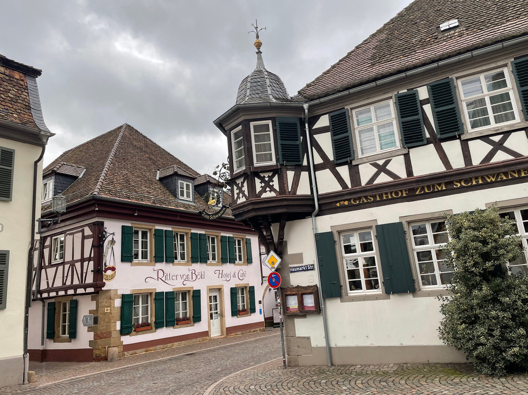 Burg Neuleiningen景点图片
