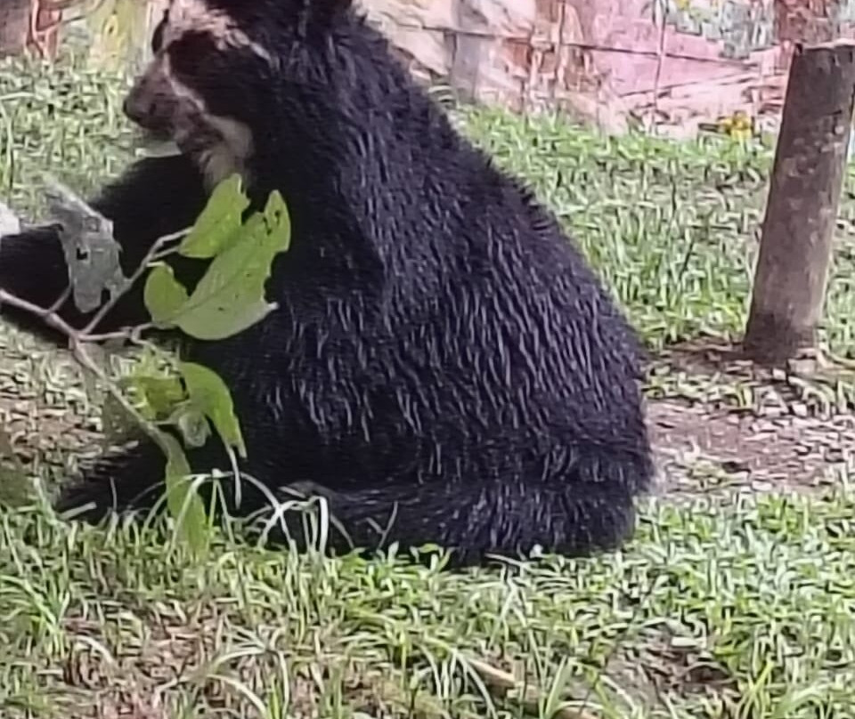 Bioparque Los Ocarros-比亚维森西奥必去景点