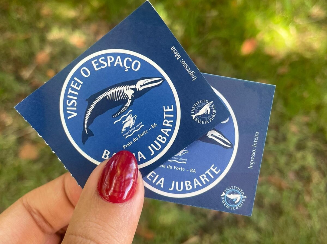 Centro de Visitantes Espaço Baleia Jubarte-普拉亚多海滩必去景点
