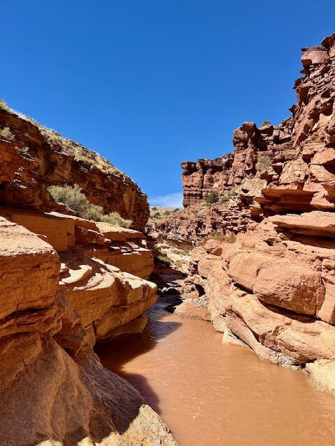 Waterpocket Adventure Company-托里必去景点