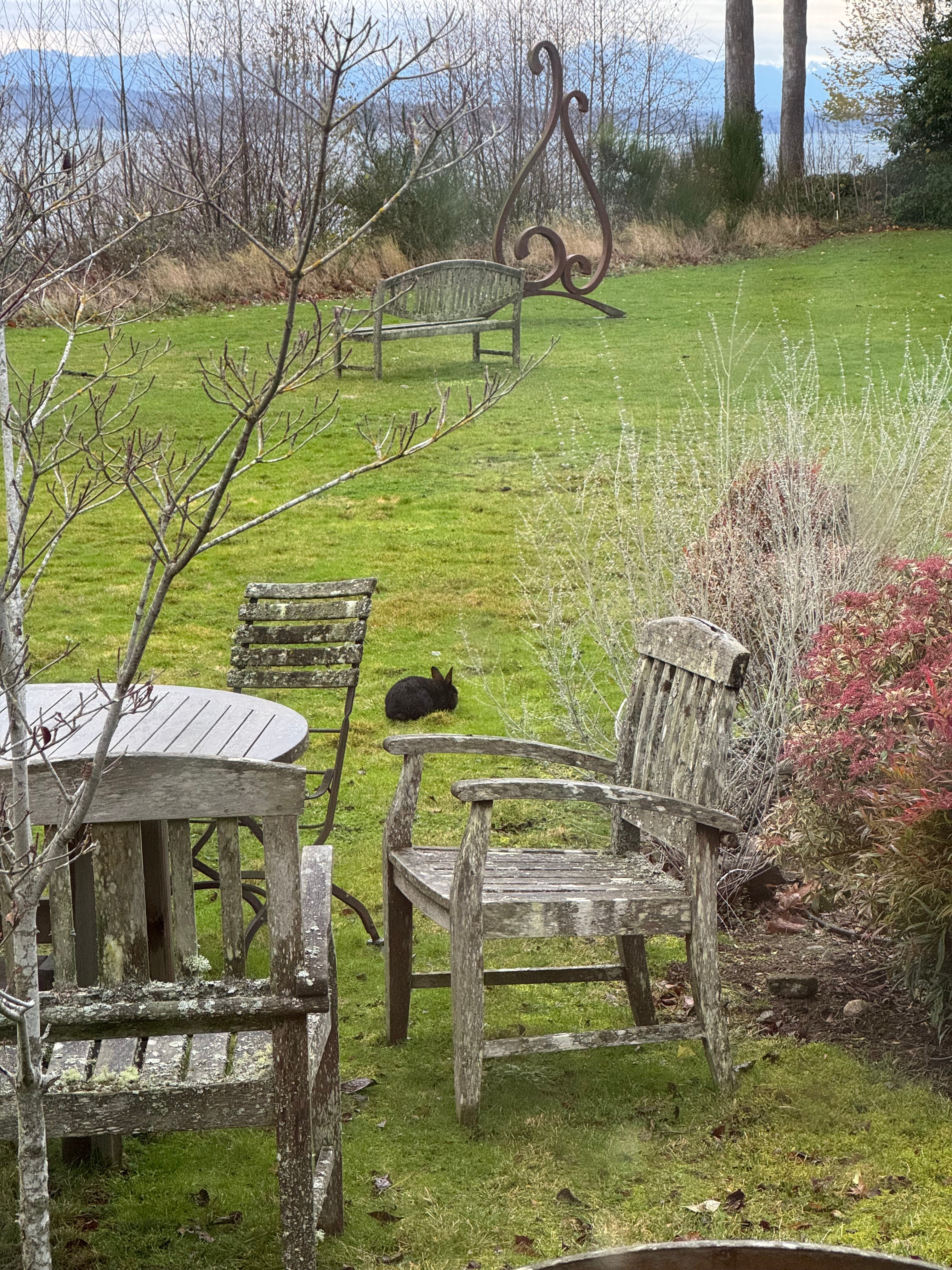 Langley Motel-官方