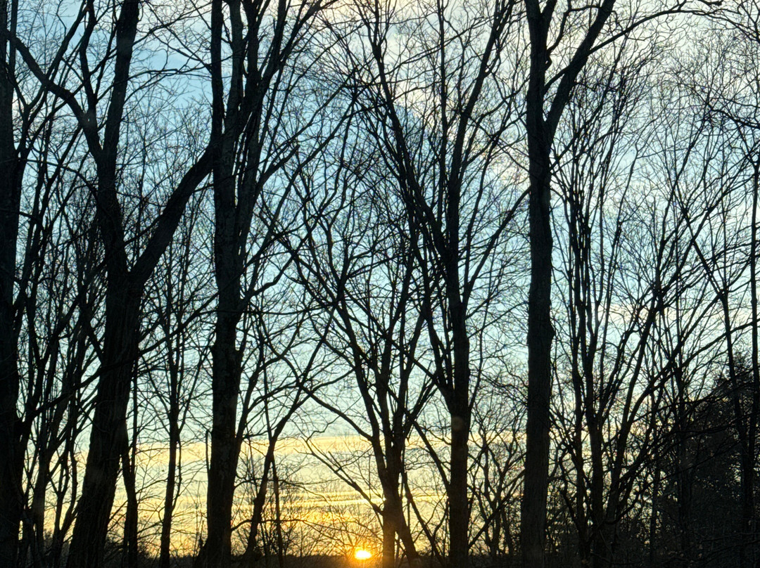 AutoCamp Catskills主图