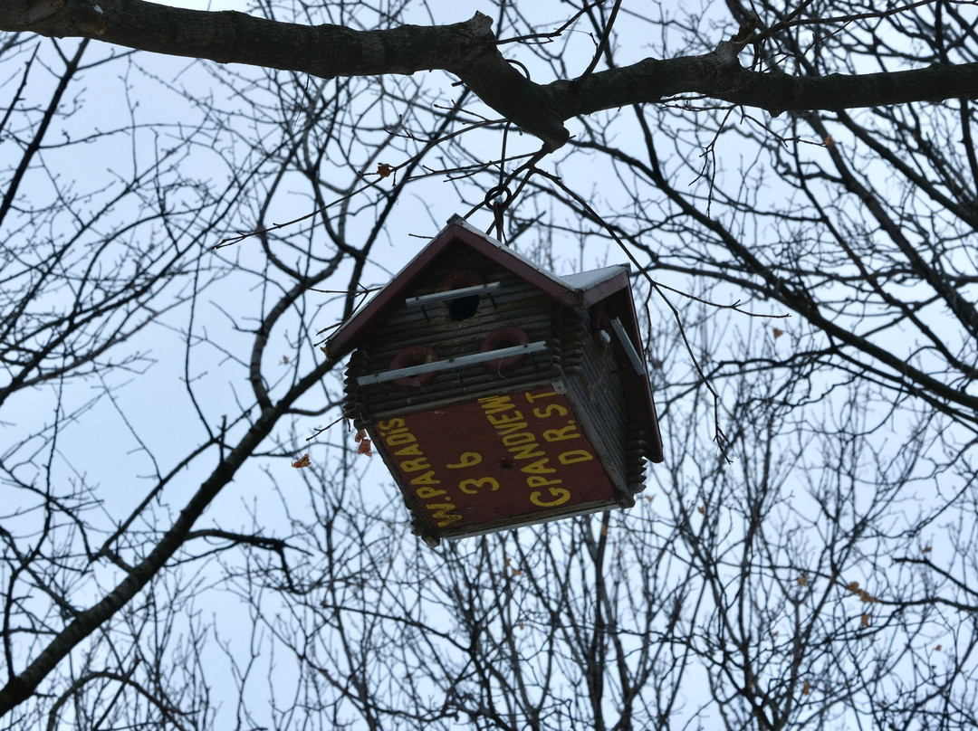 Malcolmson Park-圣凯瑟琳斯必去景点