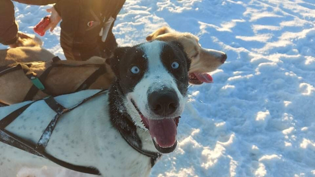 Discover Nordic Adventures-Jamton必去景点