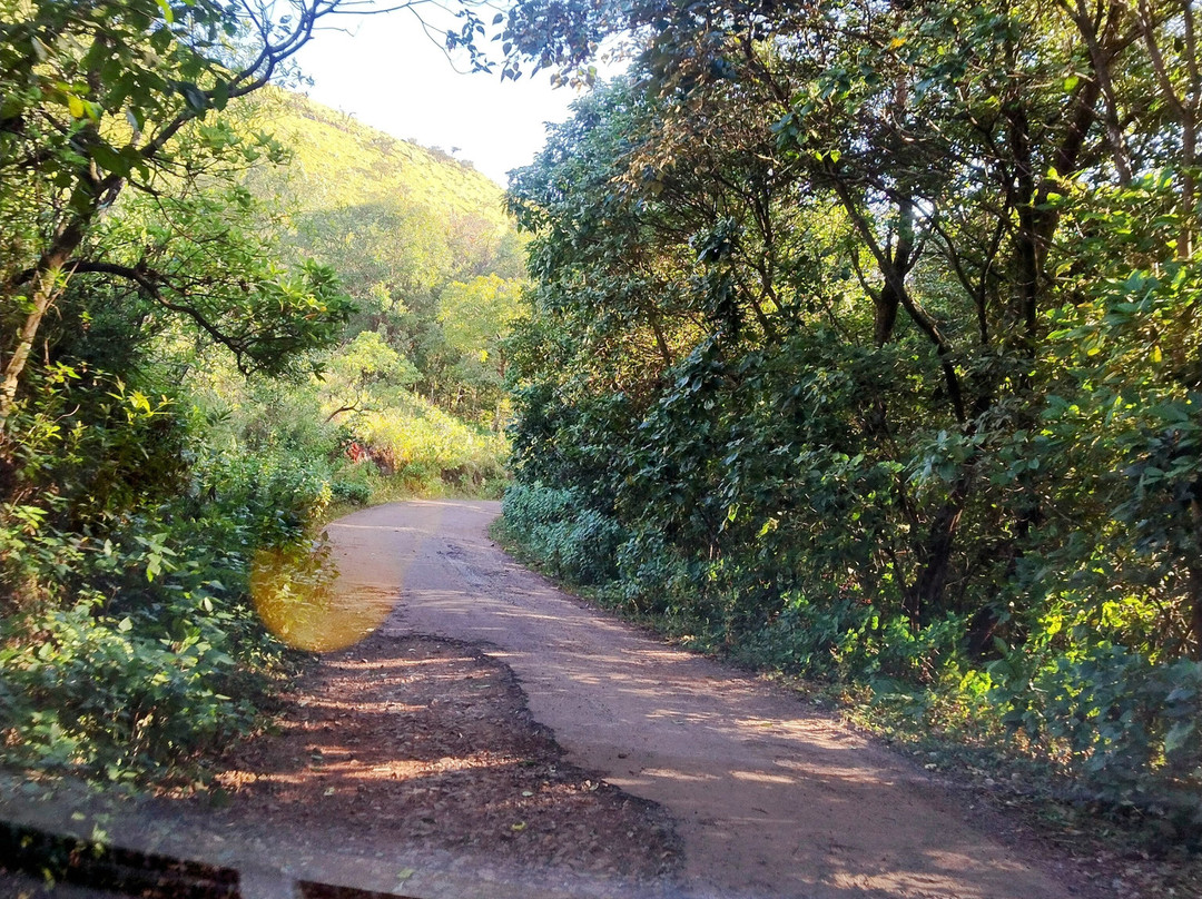 Nature Nirvana主图