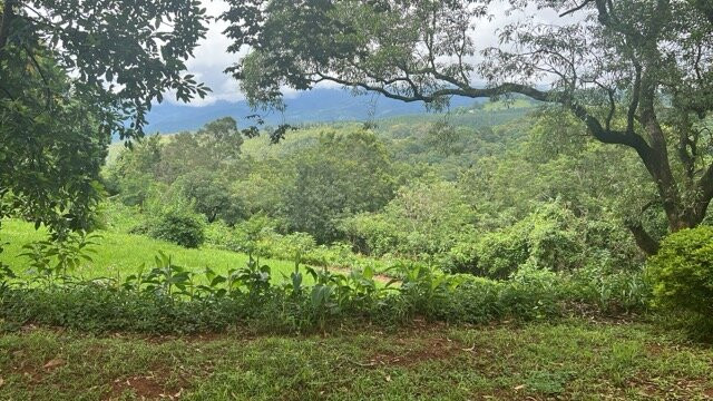 蔻驰之家酒店主图