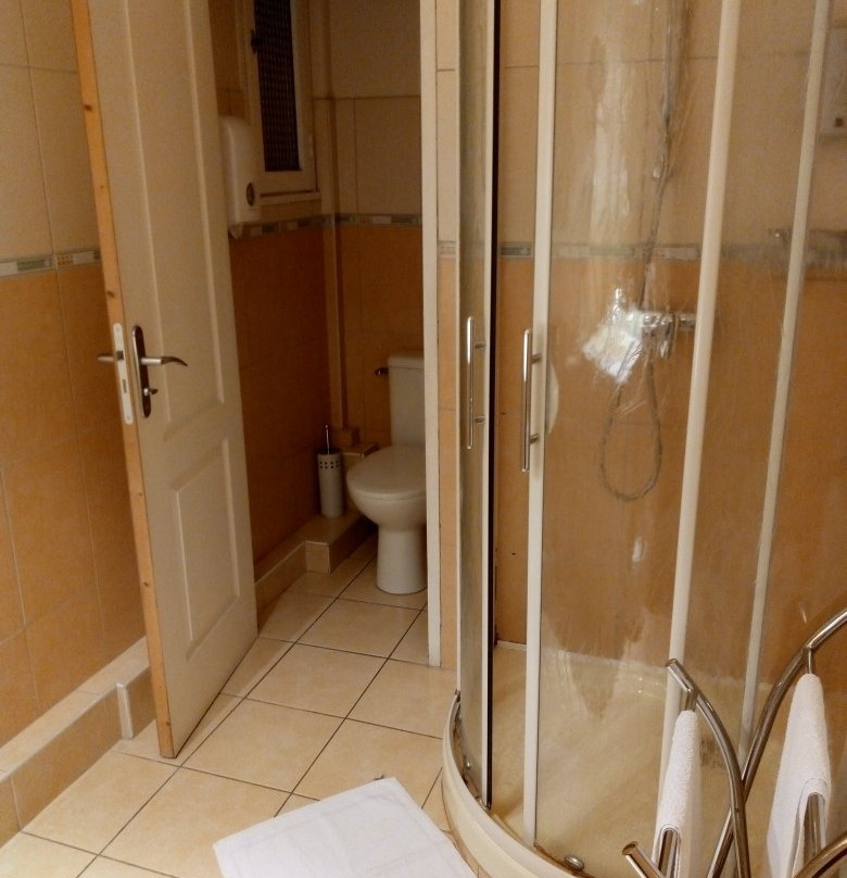 Logis Hôtel des Voyageurs主图