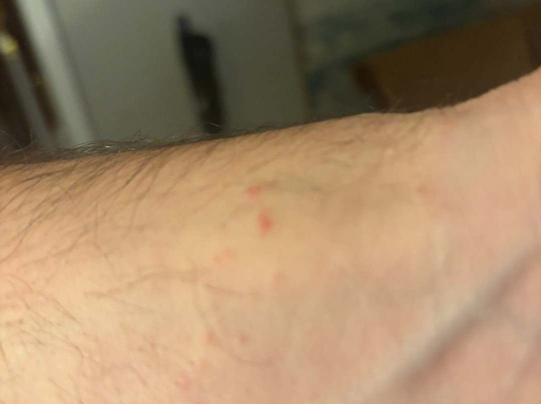 Tru by Hilton Greenville Woodruff Road主图