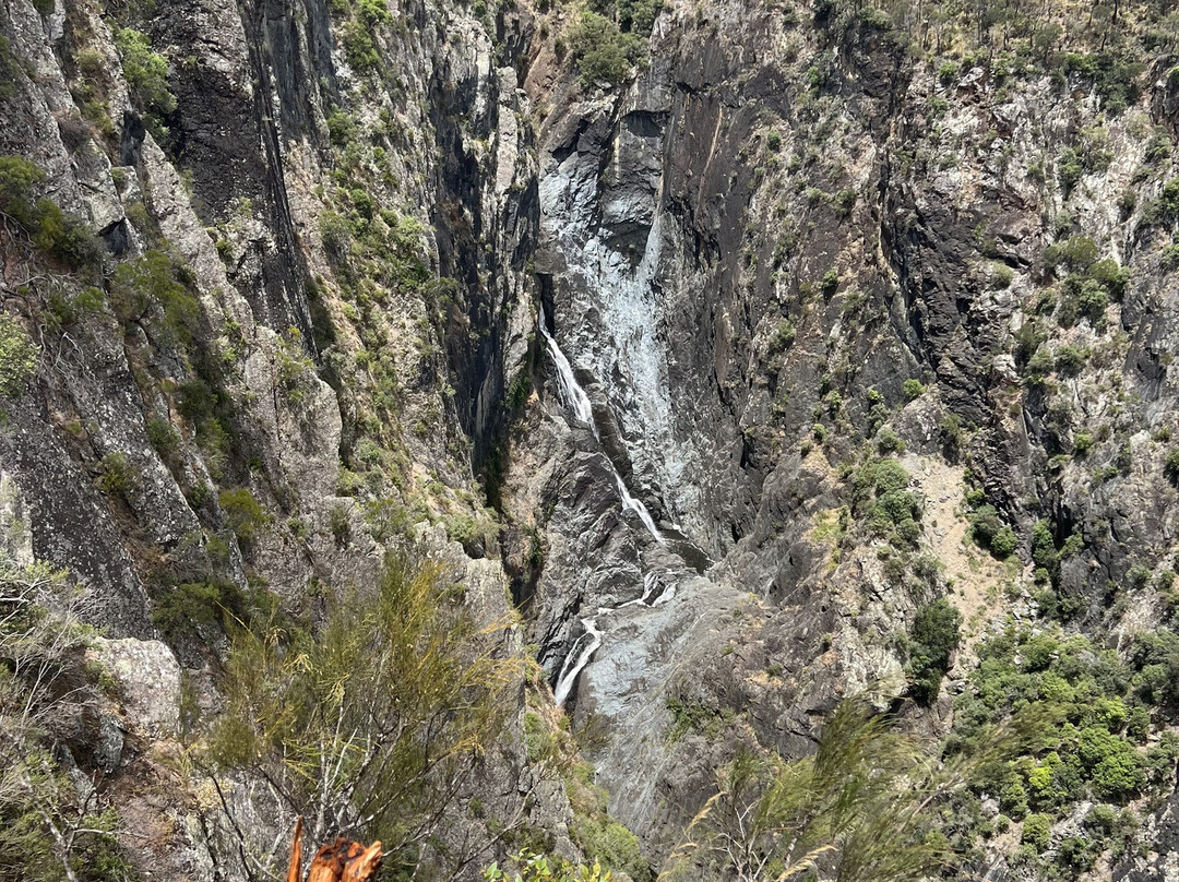 Wollomombi Falls景点图片