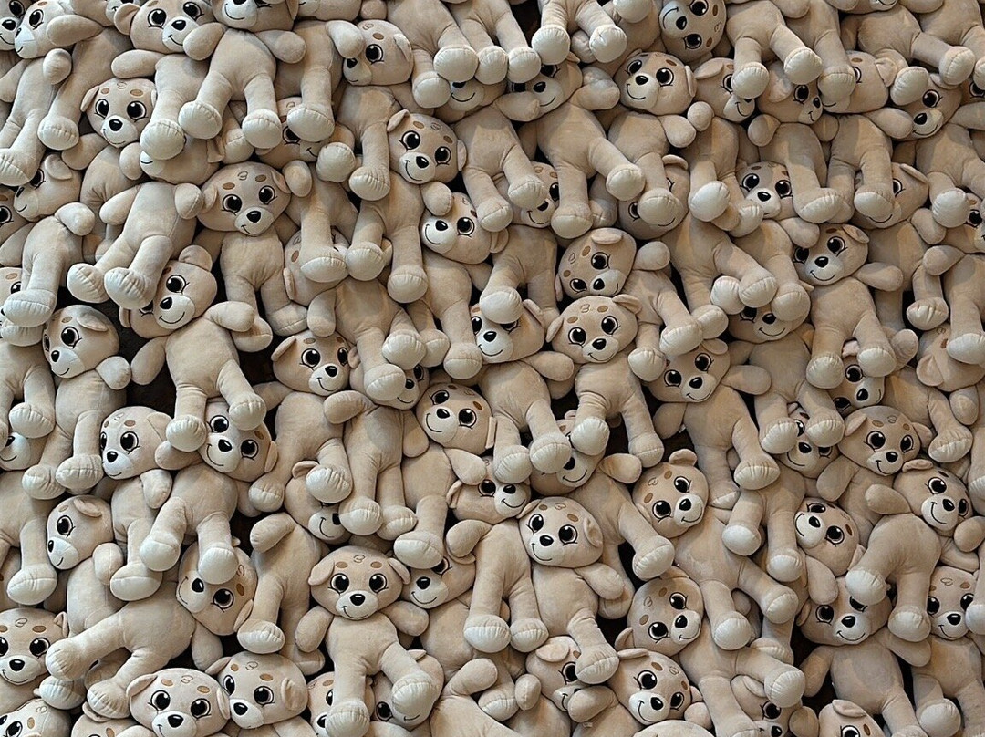 Criamigos-格拉玛多必去景点