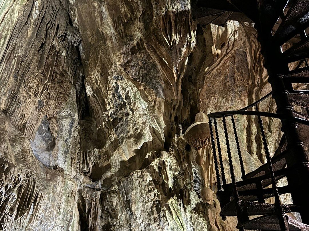 Grottes de Remouchamps景点图片