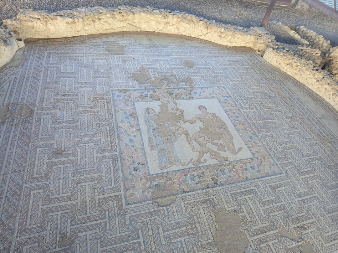 Parque Arqueologico de Carranque景点图片