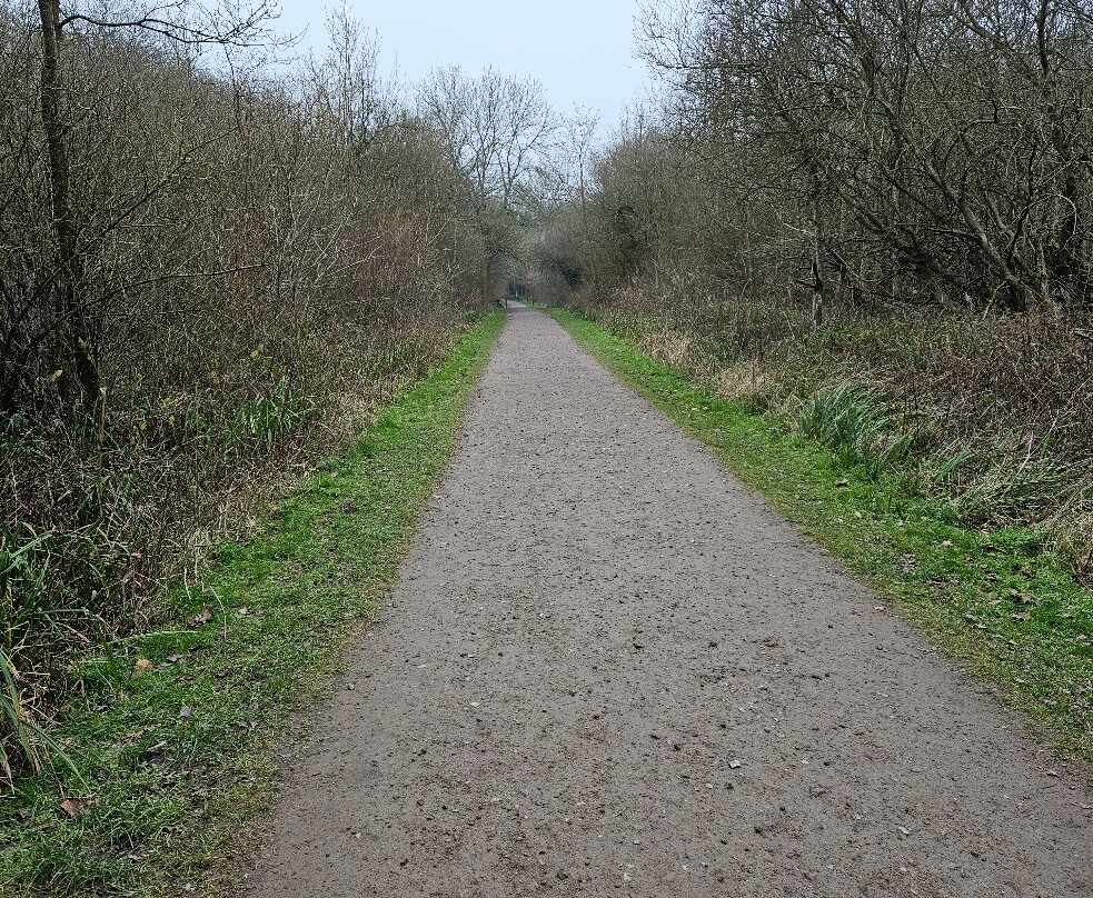 Salcey Forest-Hartwell必去景点