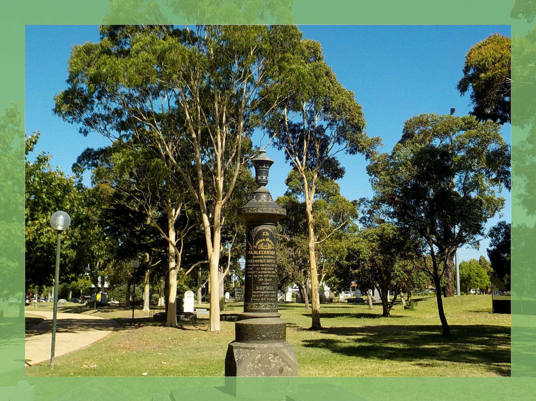 Warrawee Park Oval景点图片
