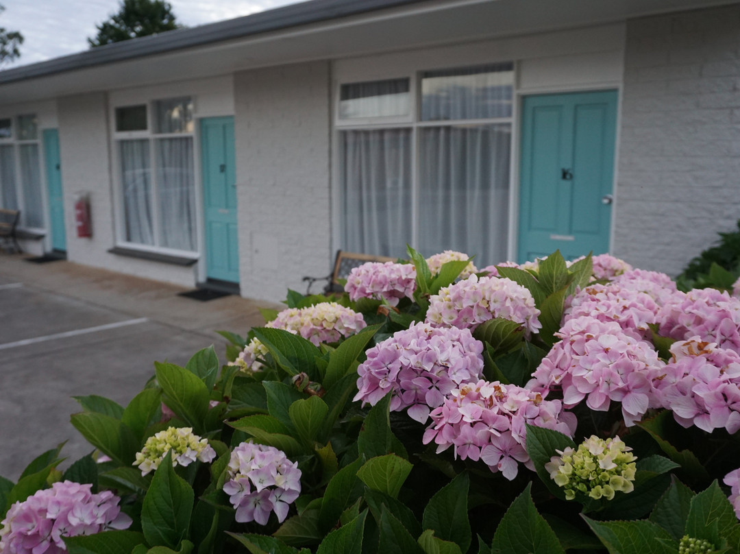 Heywood Motor Inn主图