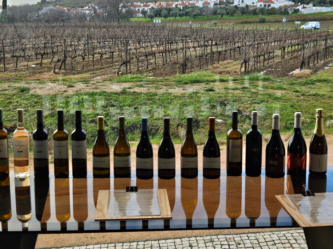 Tiago Cabaço Winery景点图片