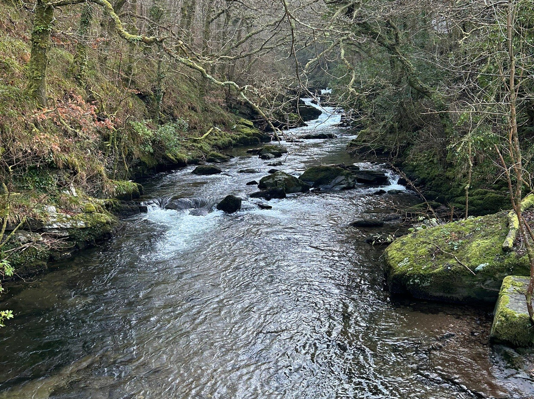 The Rockford Inn主图