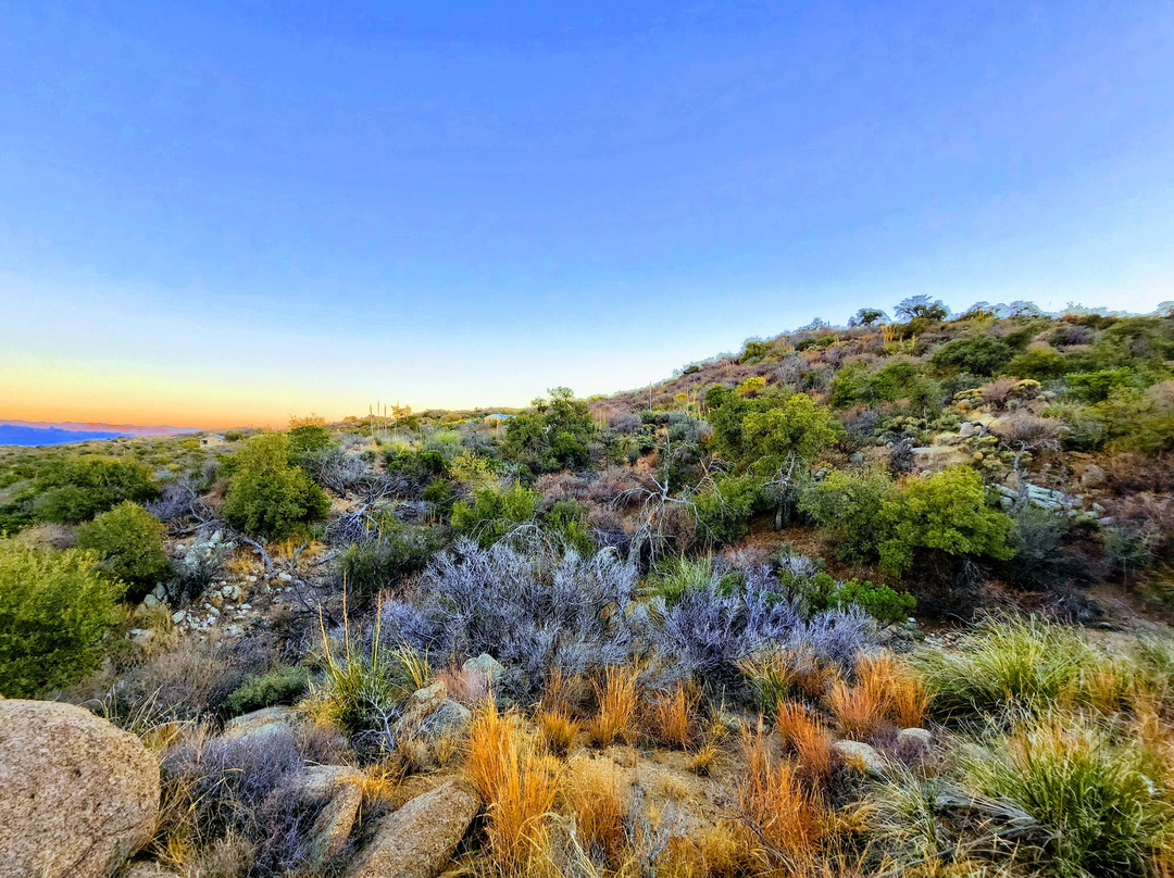 C.O.D. Ranch-Oracle必去景点