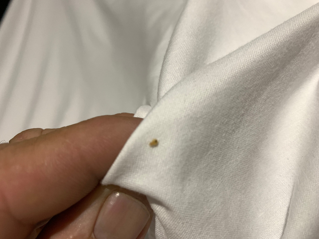 汤斯维尔假日酒店主图