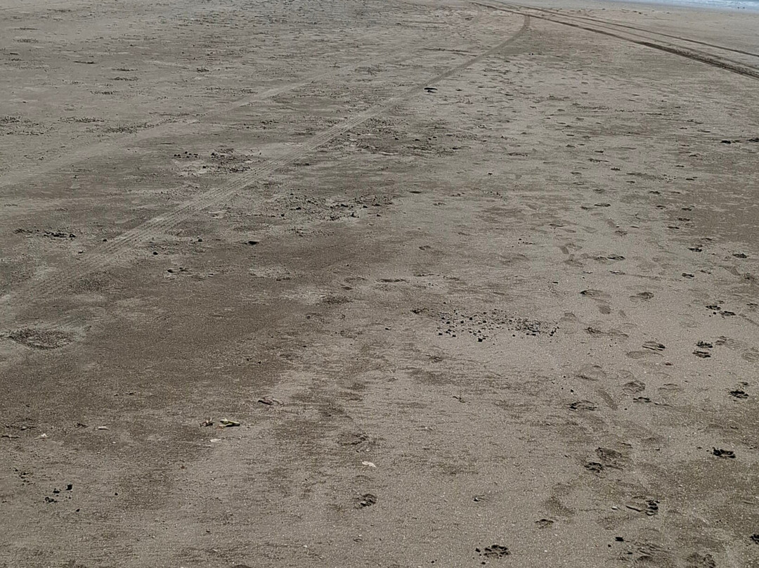 Utorda Beach-Utorda必去景点