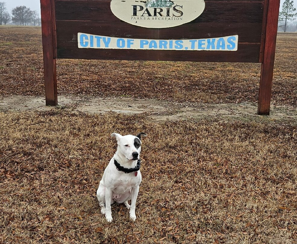 Dragon Park-巴黎必去景点