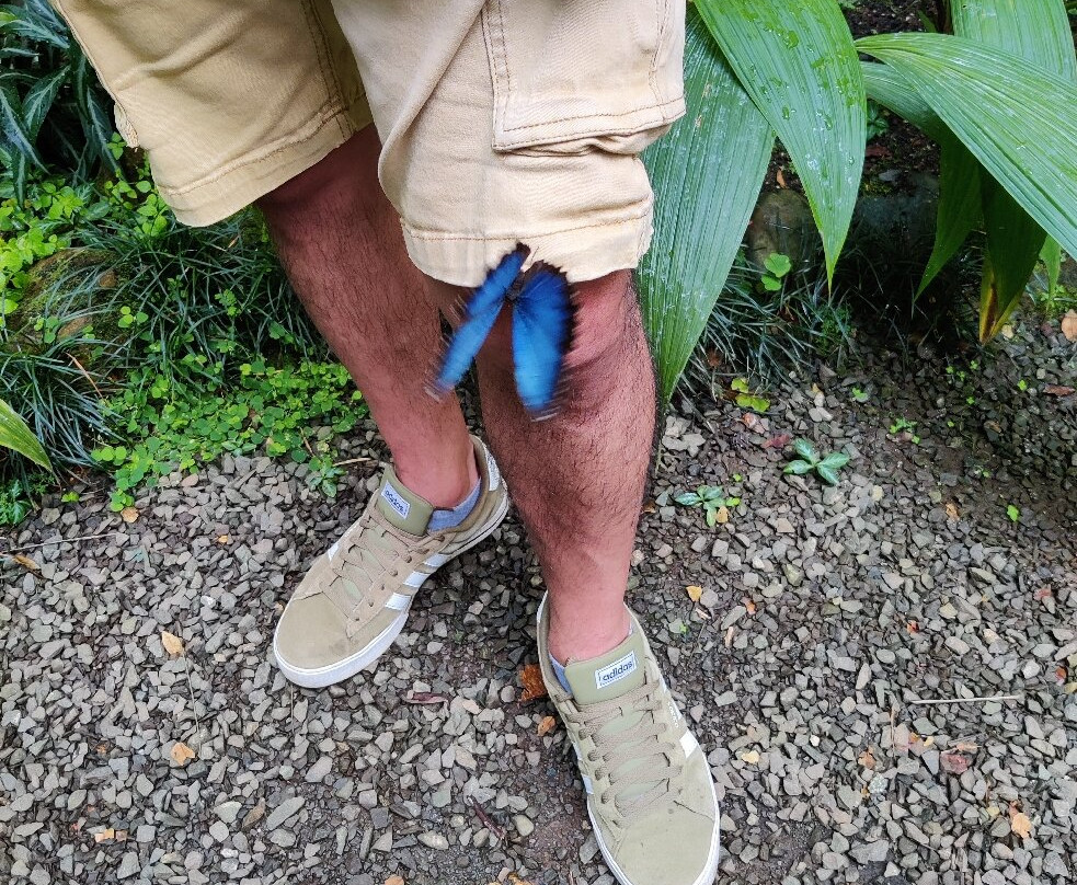 Mariposario Andoke-卡利必去景点