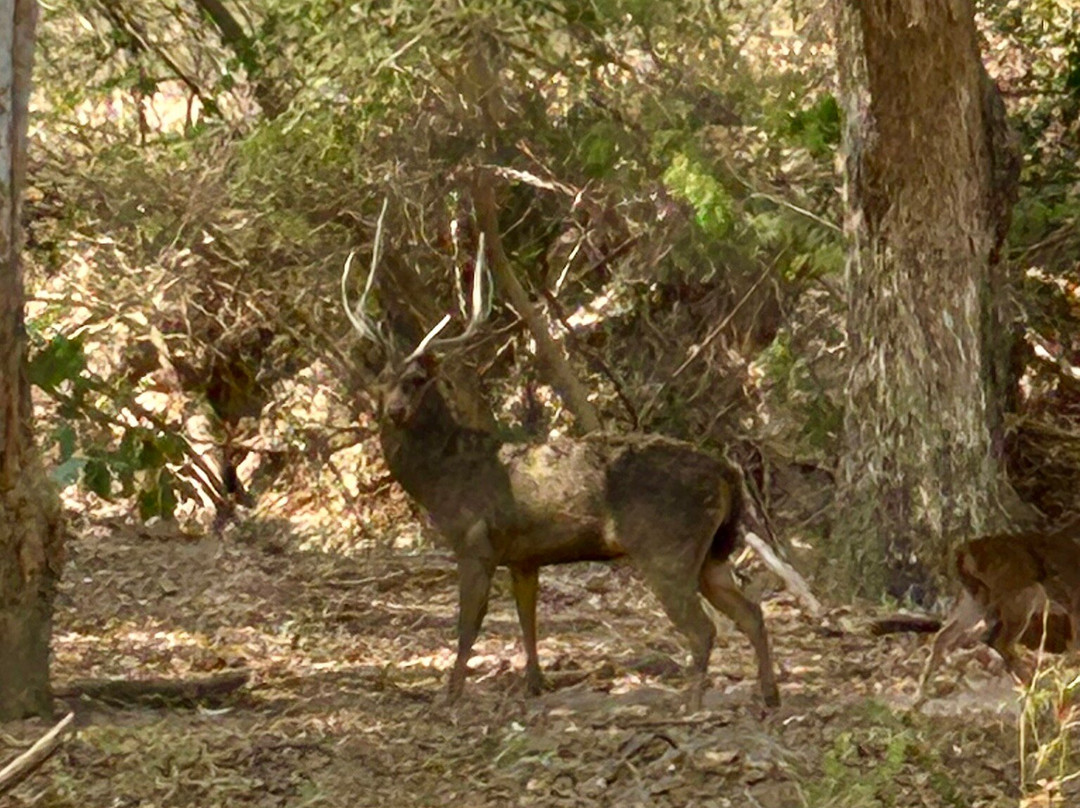 Wangjuntr Golf Park-旺珍必去景点