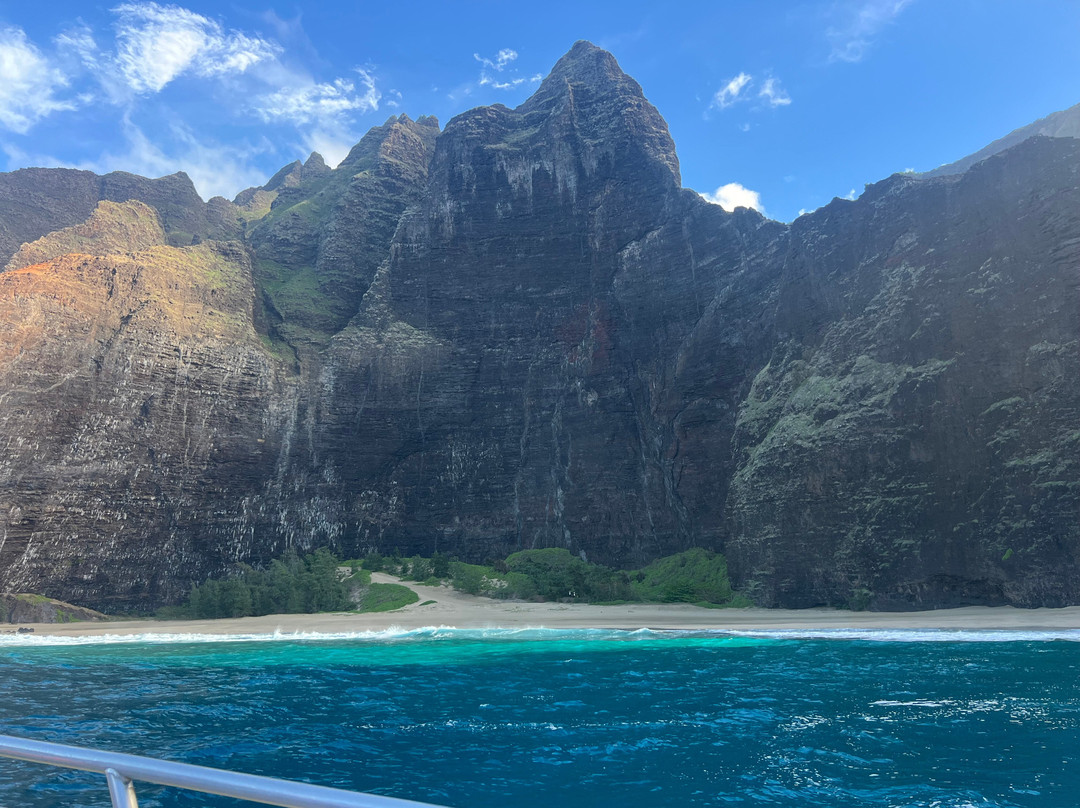 Captain Js Kauai Offshore Adventures-埃里埃利必去景点