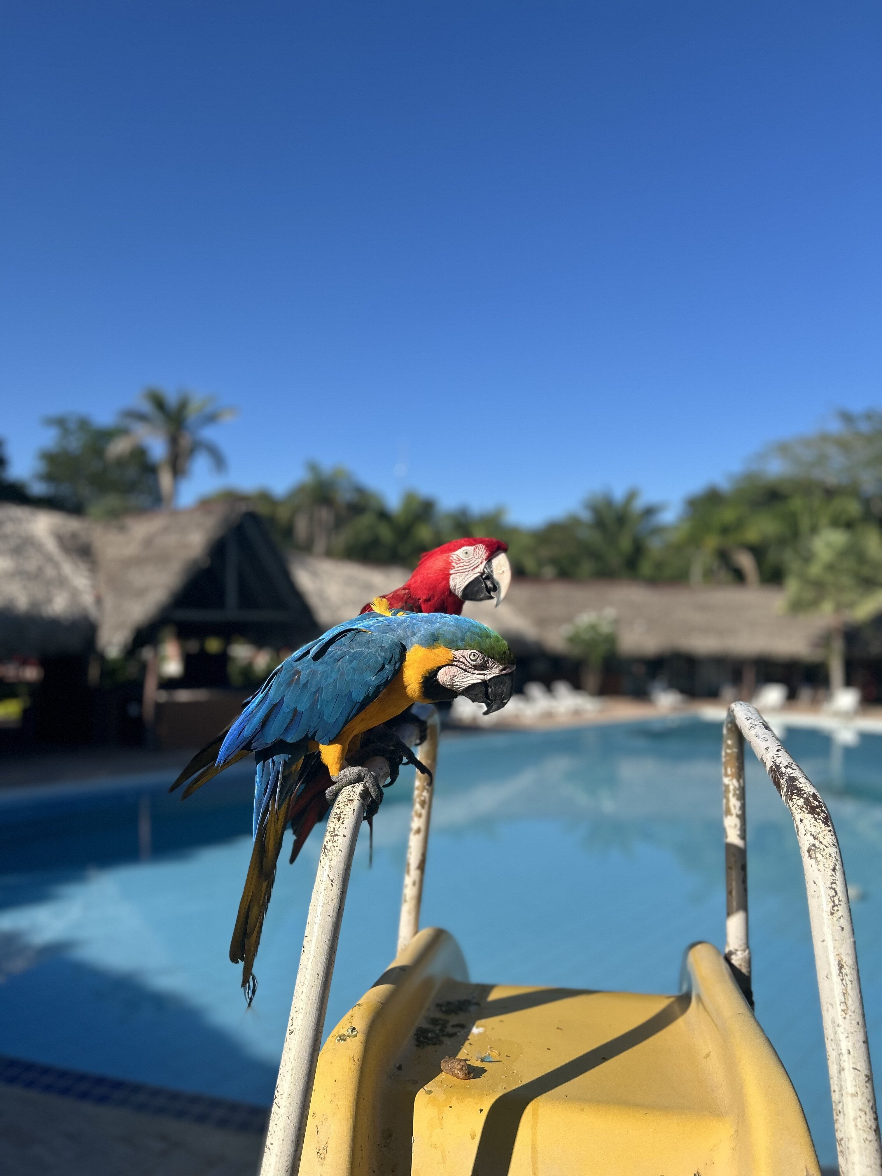 Colpa Caranda Eco Resort-酒店景观