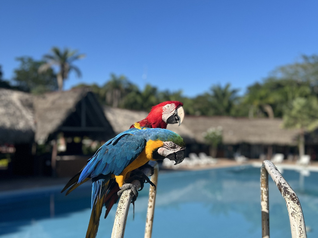 Colpa Caranda Eco Resort主图