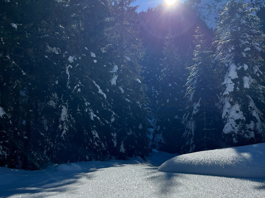 Verwallsee-圣安东阿尔山必去景点