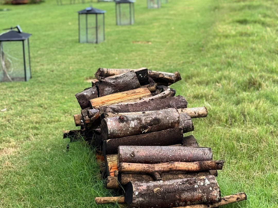 Comarca Las Liebres主图