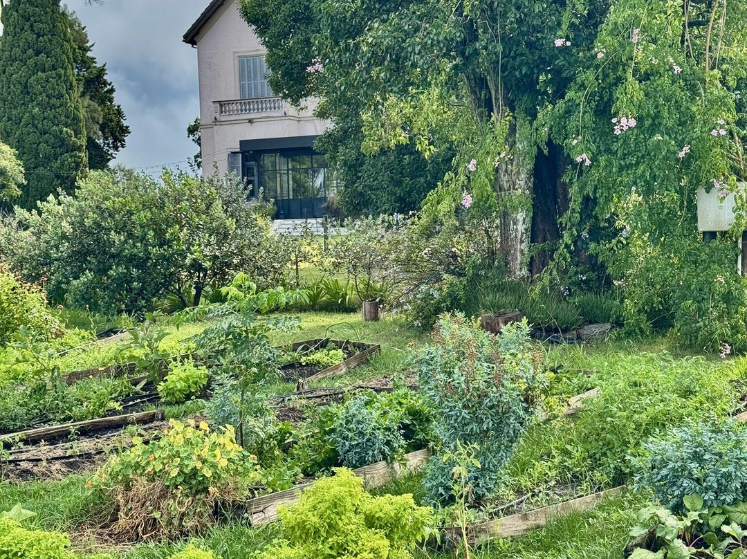 Comarca Las Liebres主图