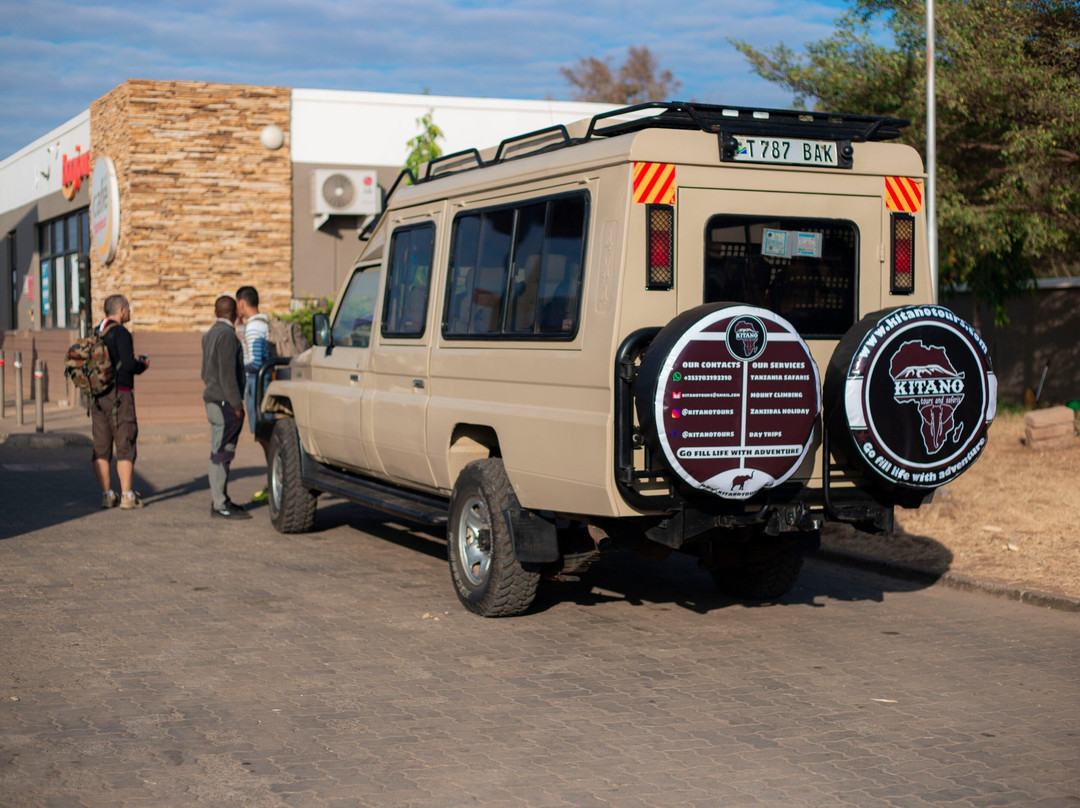 Serengeti Safari From Mwanza | KITANO TOURS AND SAFARIS-姆万扎必去景点