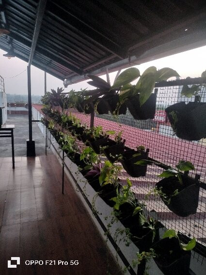 Treebo Sans Sarav Kushalnagar主图