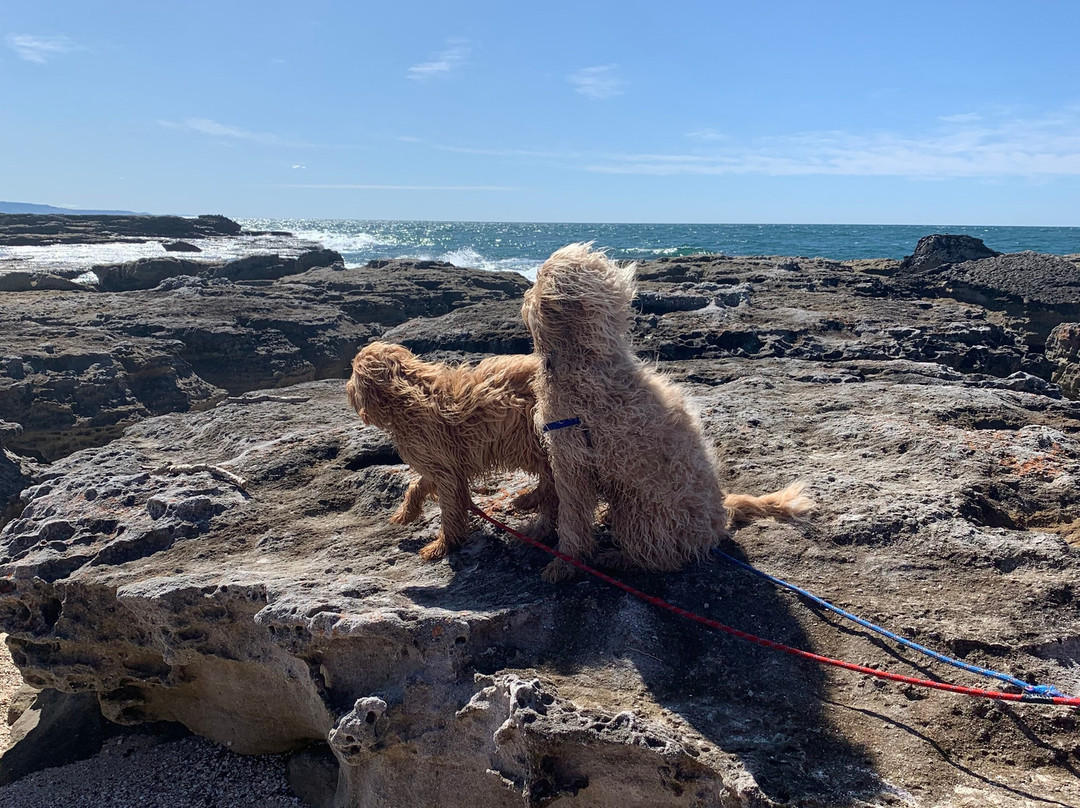 Abrahams Bosom Reserve-Currarong必去景点