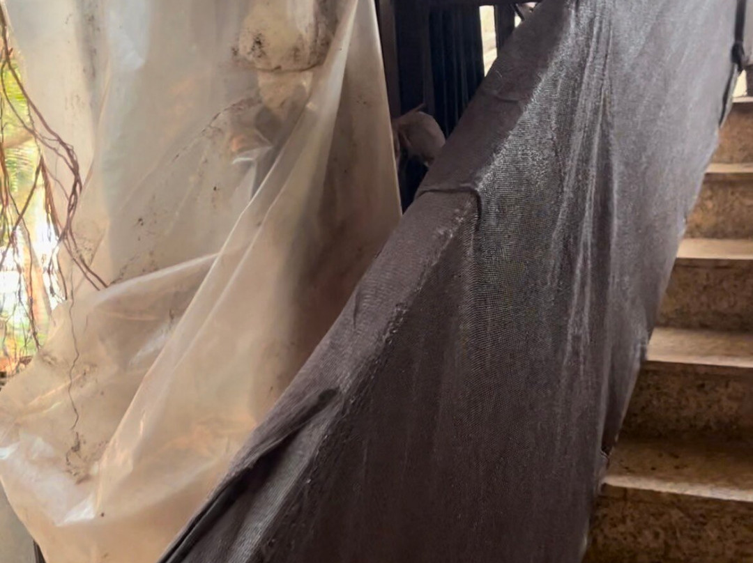 La Calypso Hotels主图