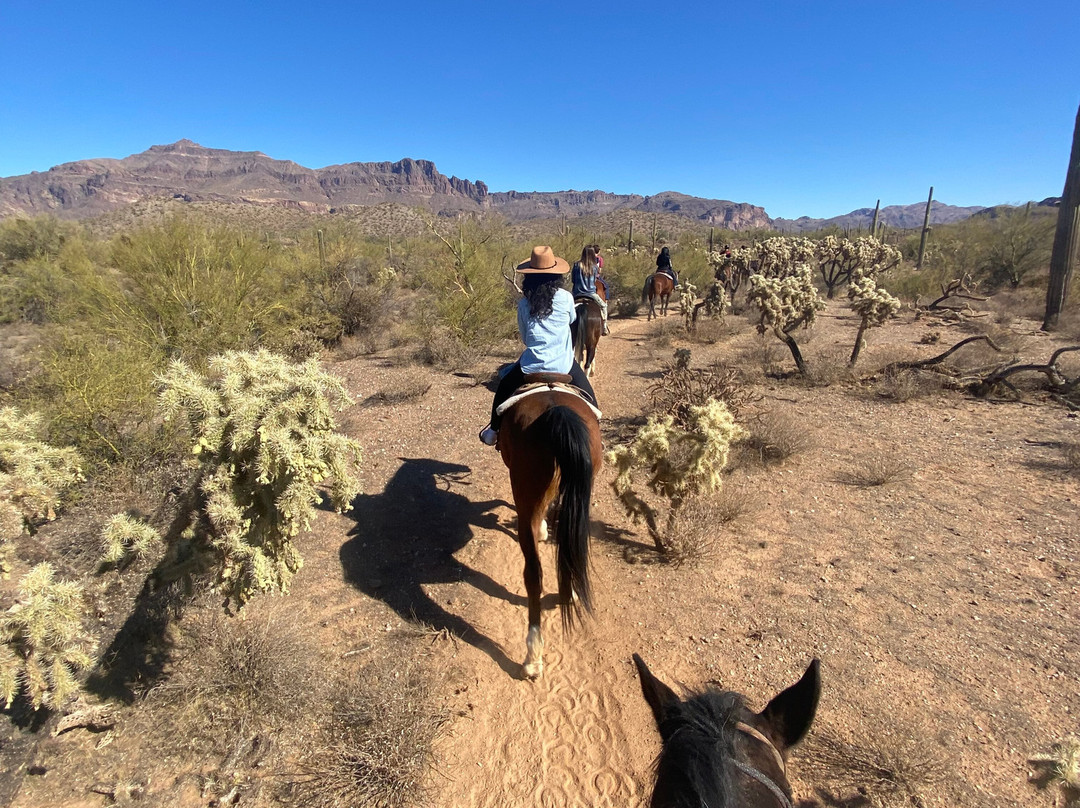 Don Donnelly's D-Spur Ranch and Stables-Gold Canyon必去景点