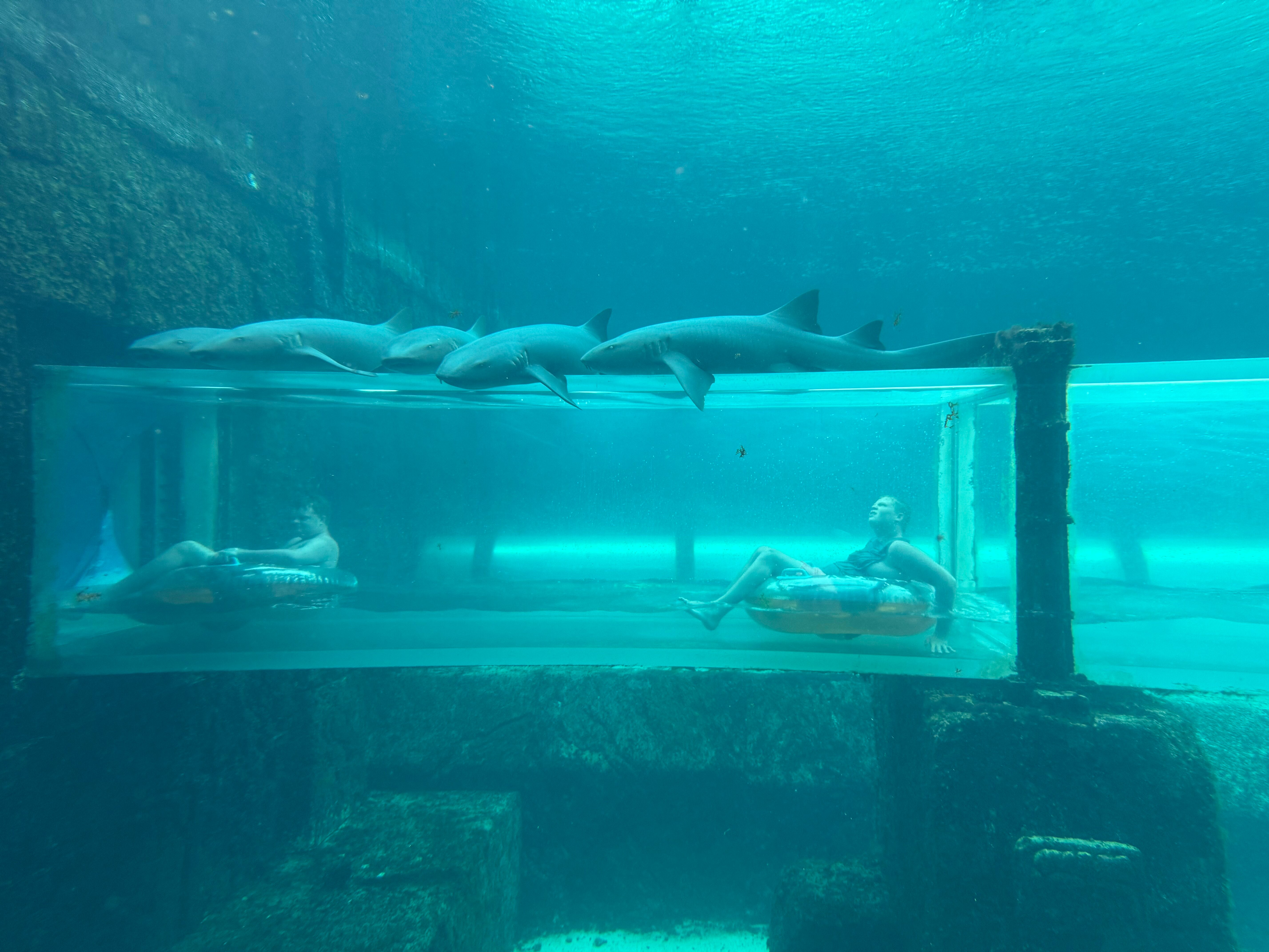 Atlantis - Harborside Resort-泳池