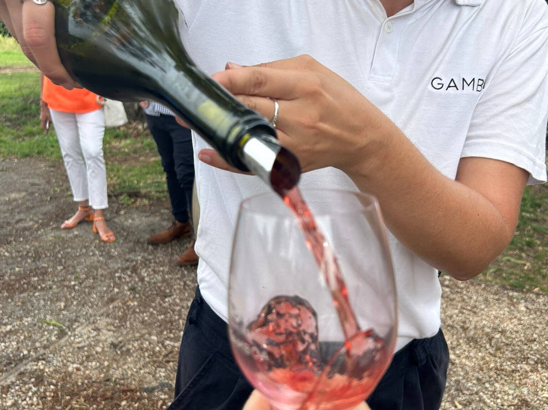 Gamboa - Viñas & Bodega景点图片