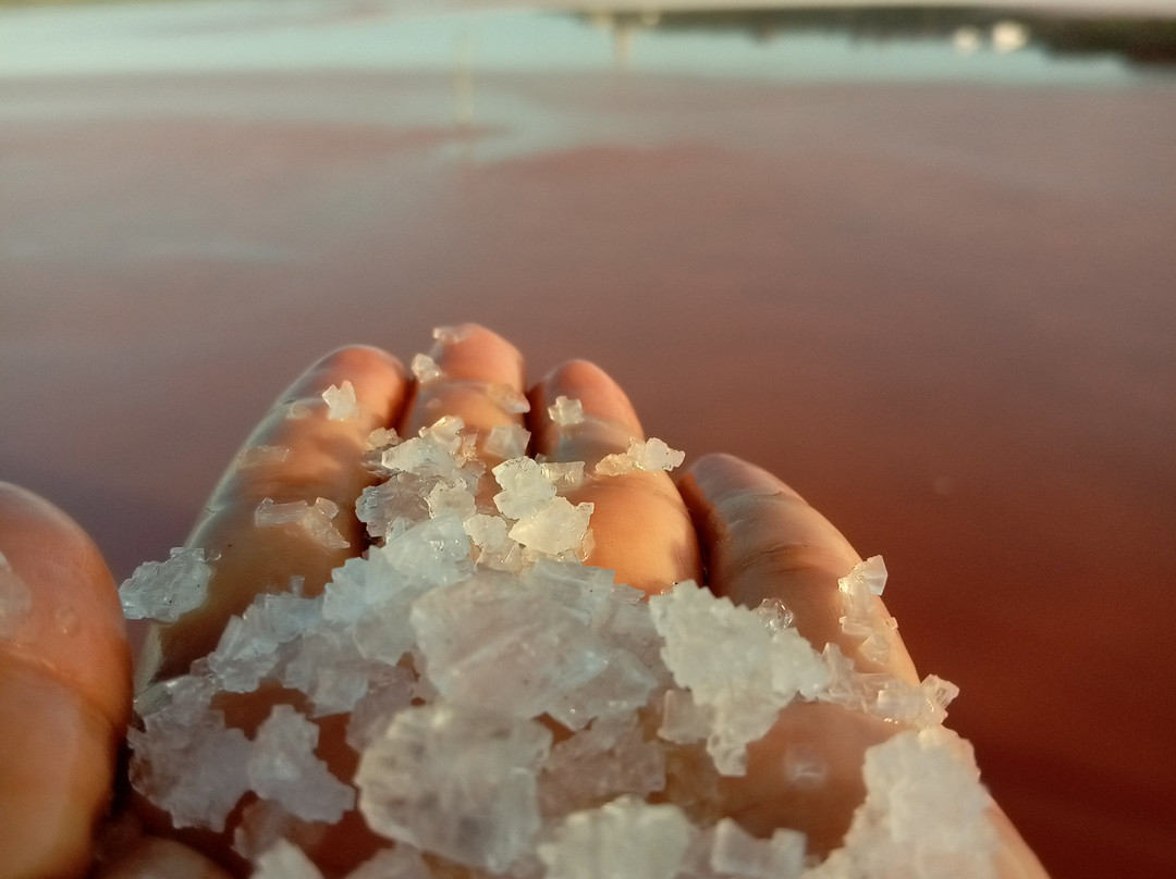 V2 Aventuras. Tours, EBikes. Trekking, Kayak, Camping. Sightseeing, Local Food, History, Communities. Margarita Island.-玛格丽塔岛必去景点