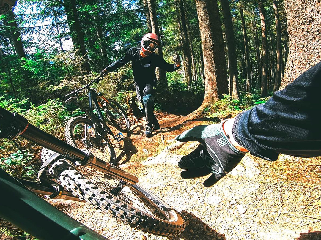JJ Biking-瓦格亥姆必去景点