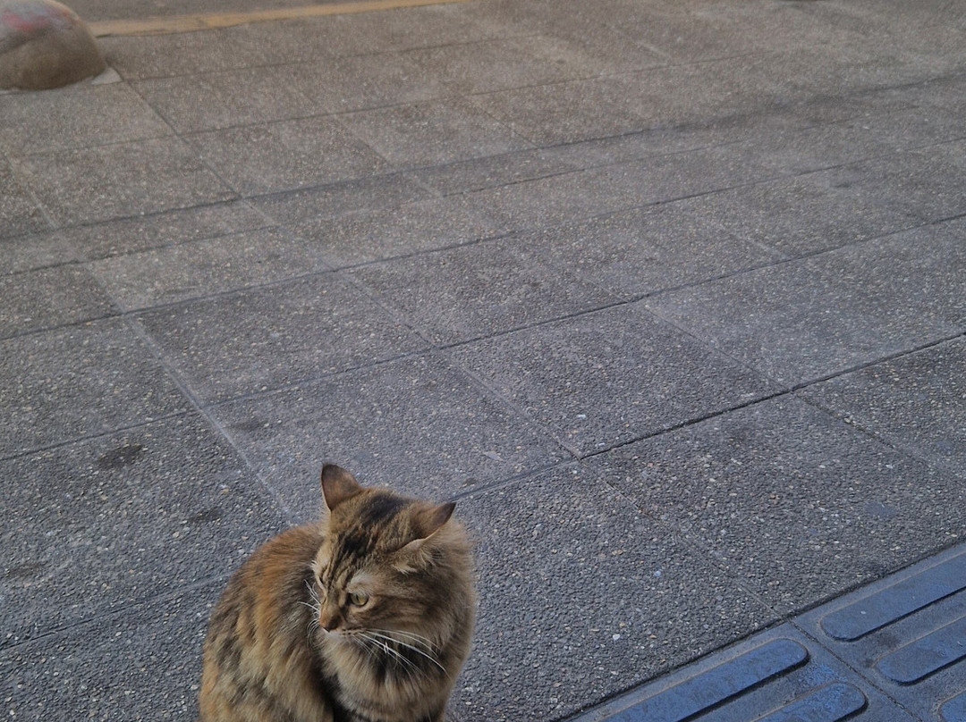 Iglesia de La Merced-圣地亚哥必去景点