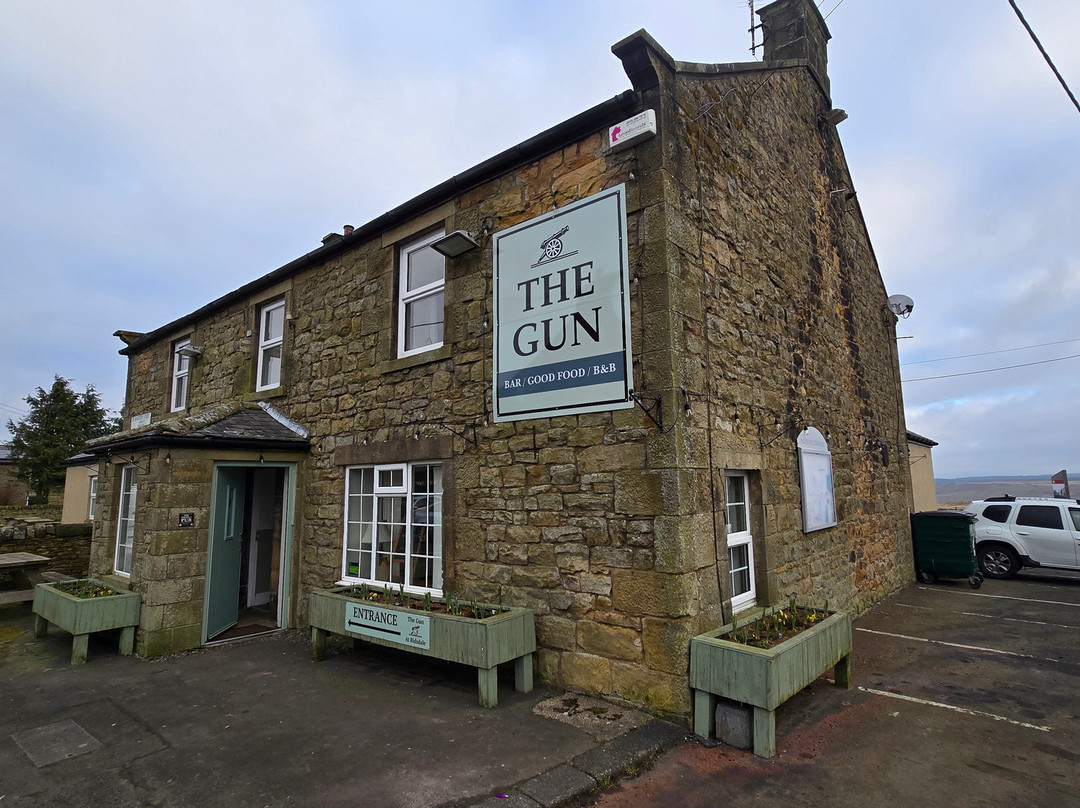 The Gun at Ridsdale主图