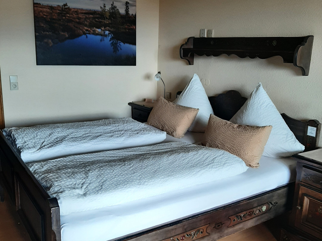 RelaxHotel Tannenhof主图